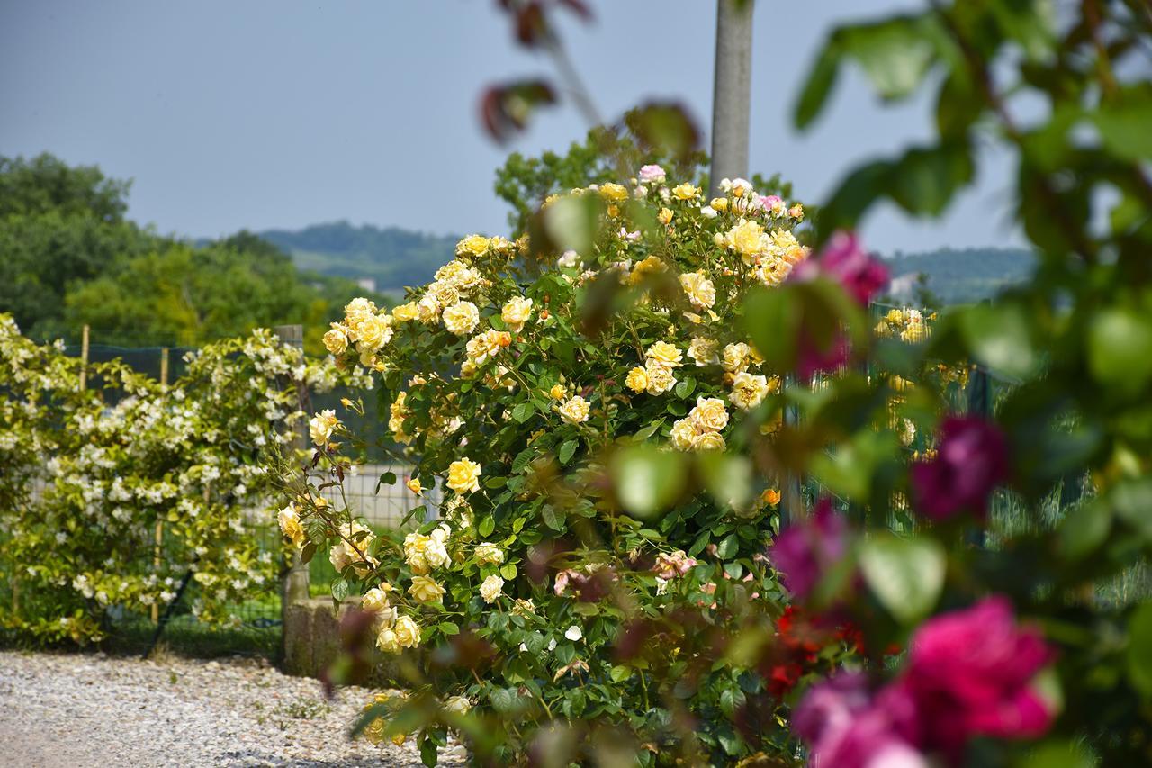 Agriturismo Panorama Salionze Exterior foto